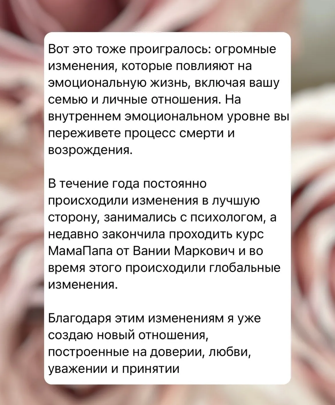 Отзыв 8